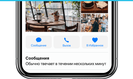 Apple Messages for Business и webim. Возможности
